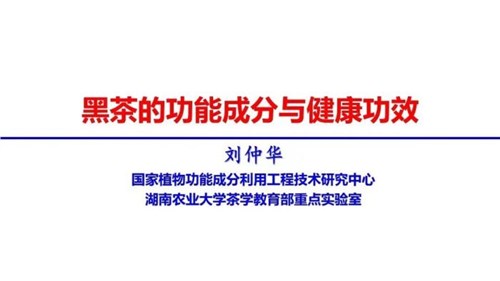 茶的功能成分與健康功效 | 茶、飲茶與健康