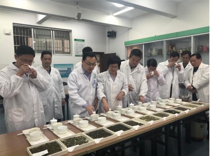 瀟湘茶業(yè)開展花茶審評(píng)和座談會(huì)，劉仲華院士等專家共謀花茶產(chǎn)業(yè)發(fā)展