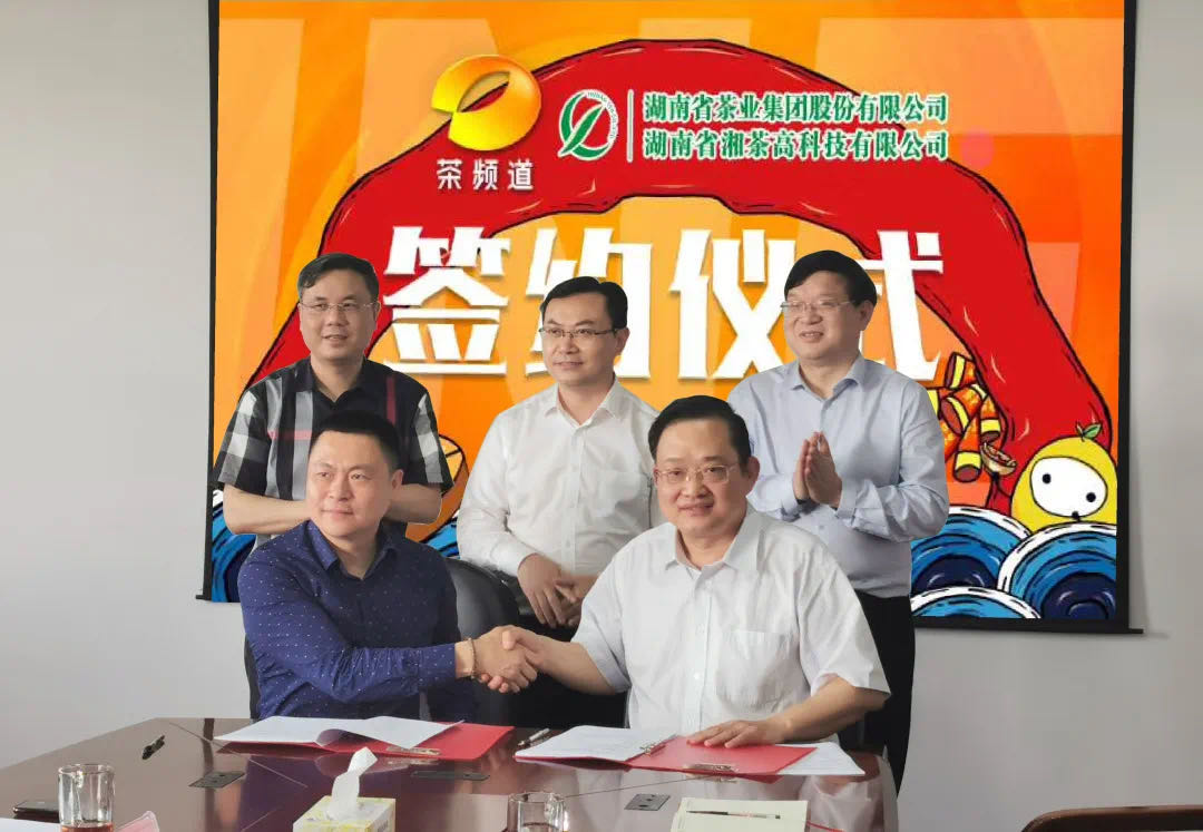 院士見證，輕輕茶發(fā)力品牌建設(shè)，與茶頻道達(dá)成深度合作