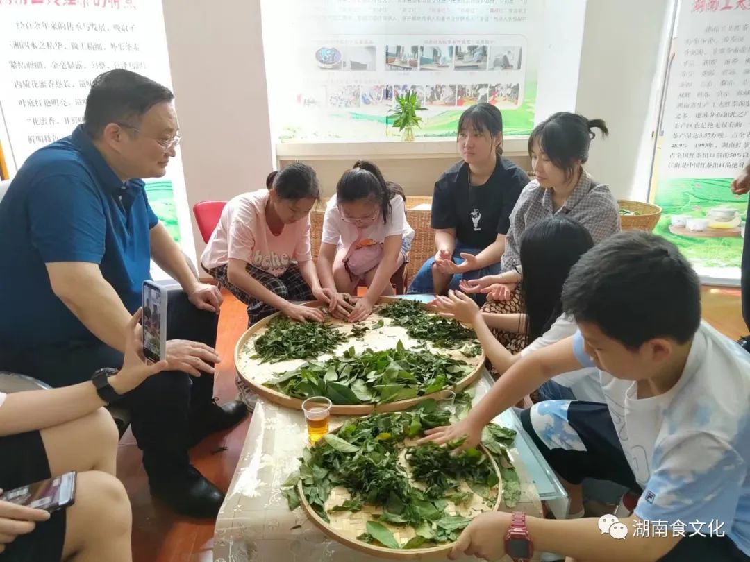 原載人民日?qǐng)?bào)“人民視點(diǎn)”茶葉是怎樣做出來(lái)的？湖南大、中、小學(xué)生體驗(yàn)湖南工夫紅茶制作